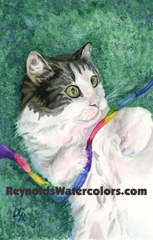 White and dark brown cat playing with rainbow string