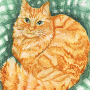 Orange Tabby 10 x 8 Print