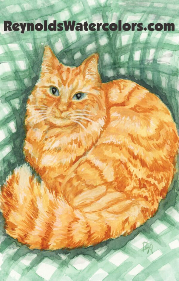 Orange Tabby 10 x 8 Print