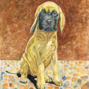 Mastiff Pup 10 x 8 Print
