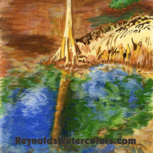 Withlacoochee Cave 14 x 11 Print