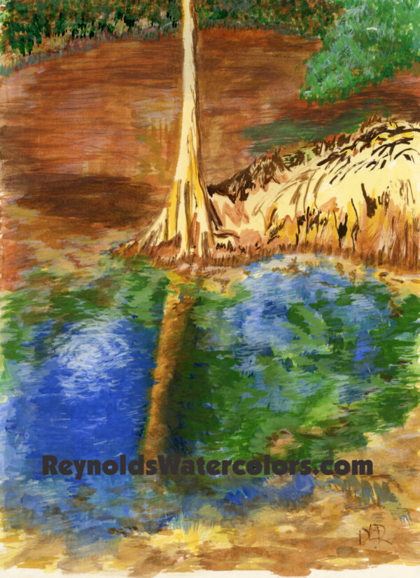 Withlacoochee Cave 14 x 11 Print