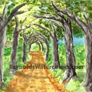 Canopy Dirt Road 10 x 8 Print