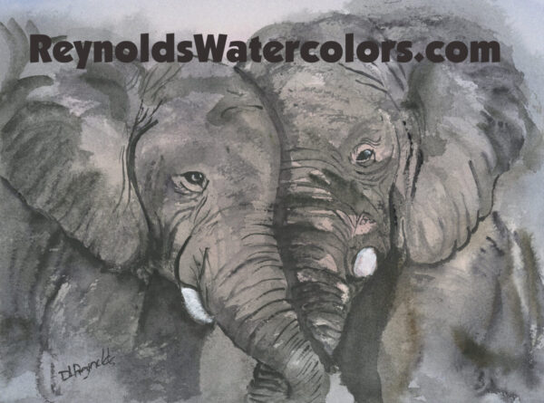 2 gray elephants twisting trunks