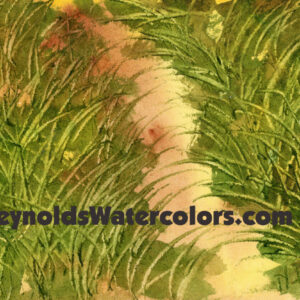 Grassy Path 8 x 10 Print