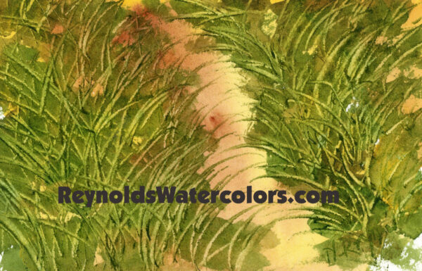 Grassy Path 8 x 10 Print