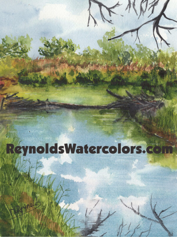 Blue pond in surrounded by green grass and trees