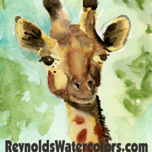 Young Giraffe 10 x 8 Print