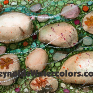 Riverrocks 8 x 10 Print