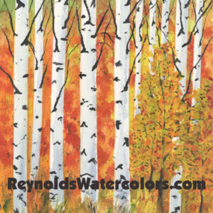 Fall Birch Trees 12 x 10 Print