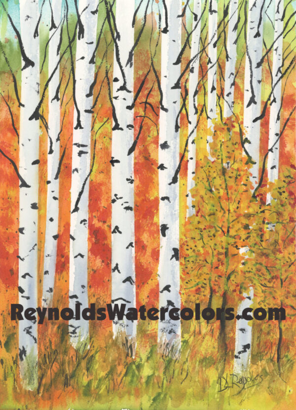 Fall Birch Trees 12 x 10 Print